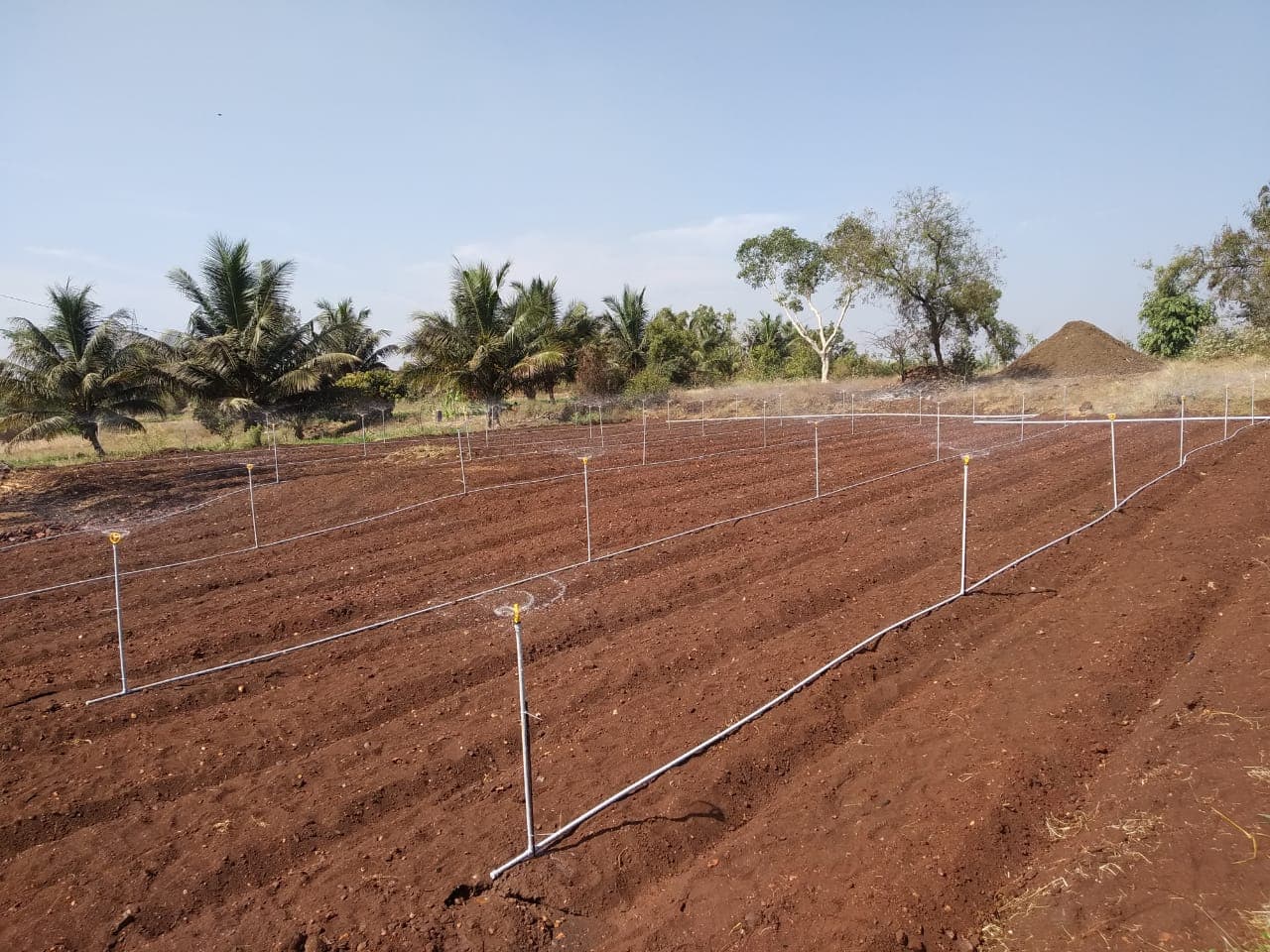 Sprinkler System in Operation — Karnataka